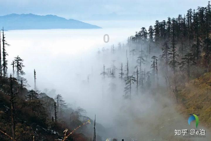 女朋友生病了，男孩该不该留下照顾她？